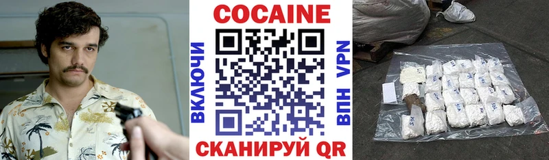 Купить закладки  Снежногорск  Cocaine FishScale 
