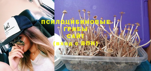 альфа пвп Верхнеуральск