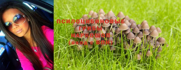 соль ск Верхний Тагил