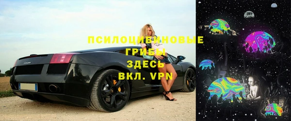 соль ск Верхний Тагил