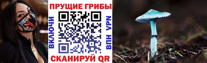 Купить  Снежногорск  Псилоцибиновые грибы мицелий 