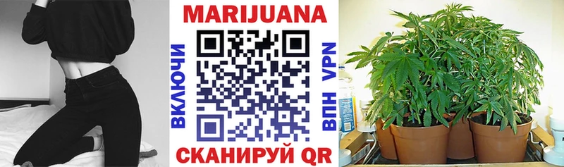 Купить где  Снежногорск  Каннабис VHQ 